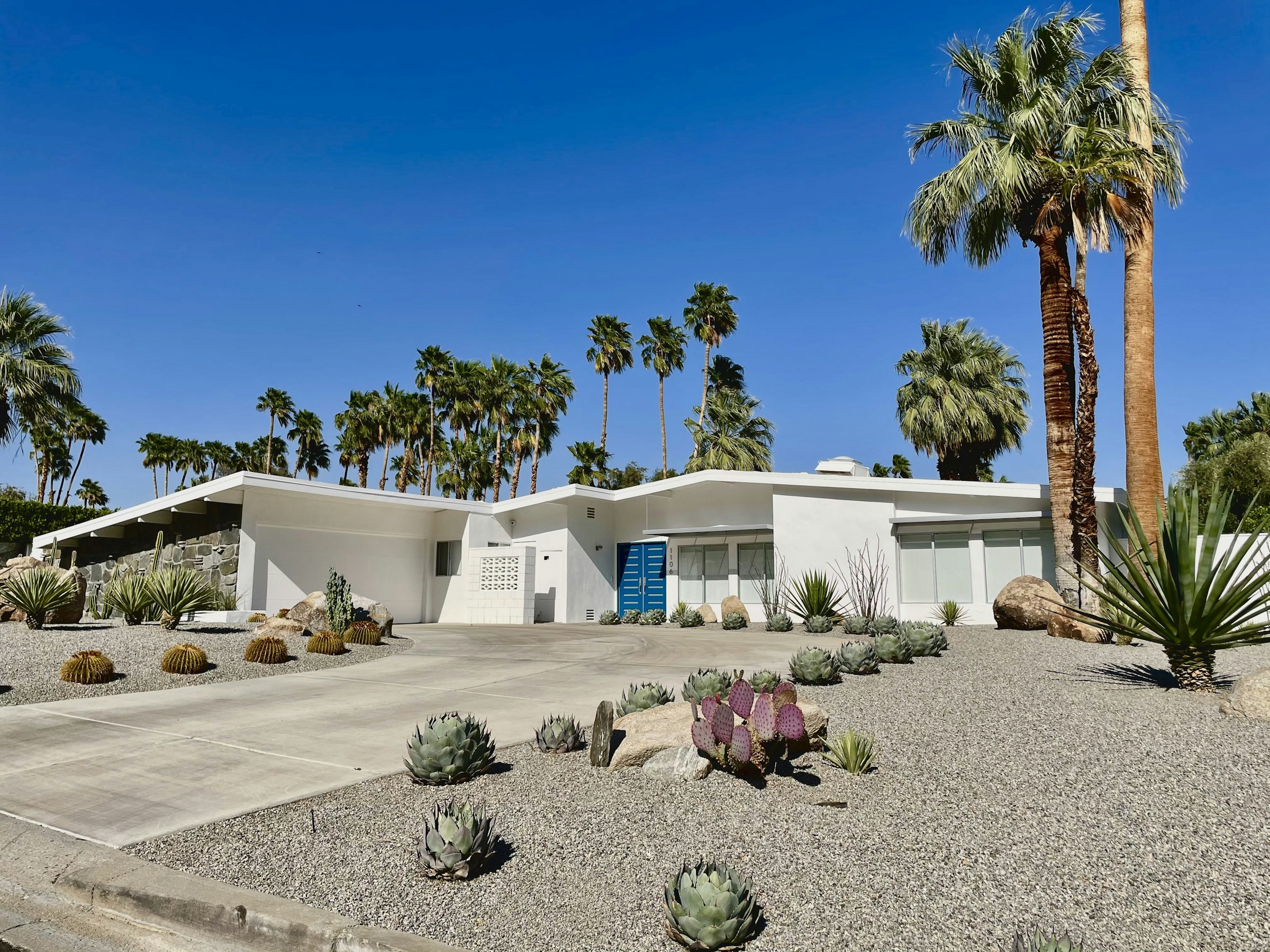 A white Palm Springs home with broad eaves, large windows and drought-tolerant landscaping across the front yard